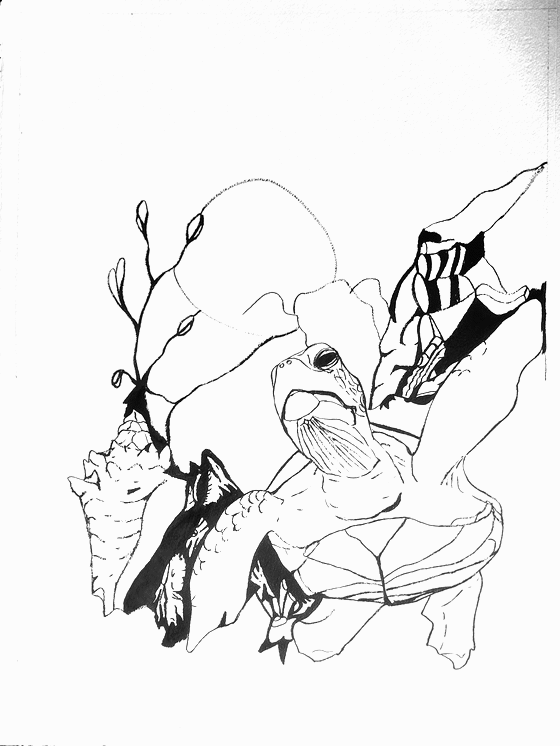 Proceso de una obra
