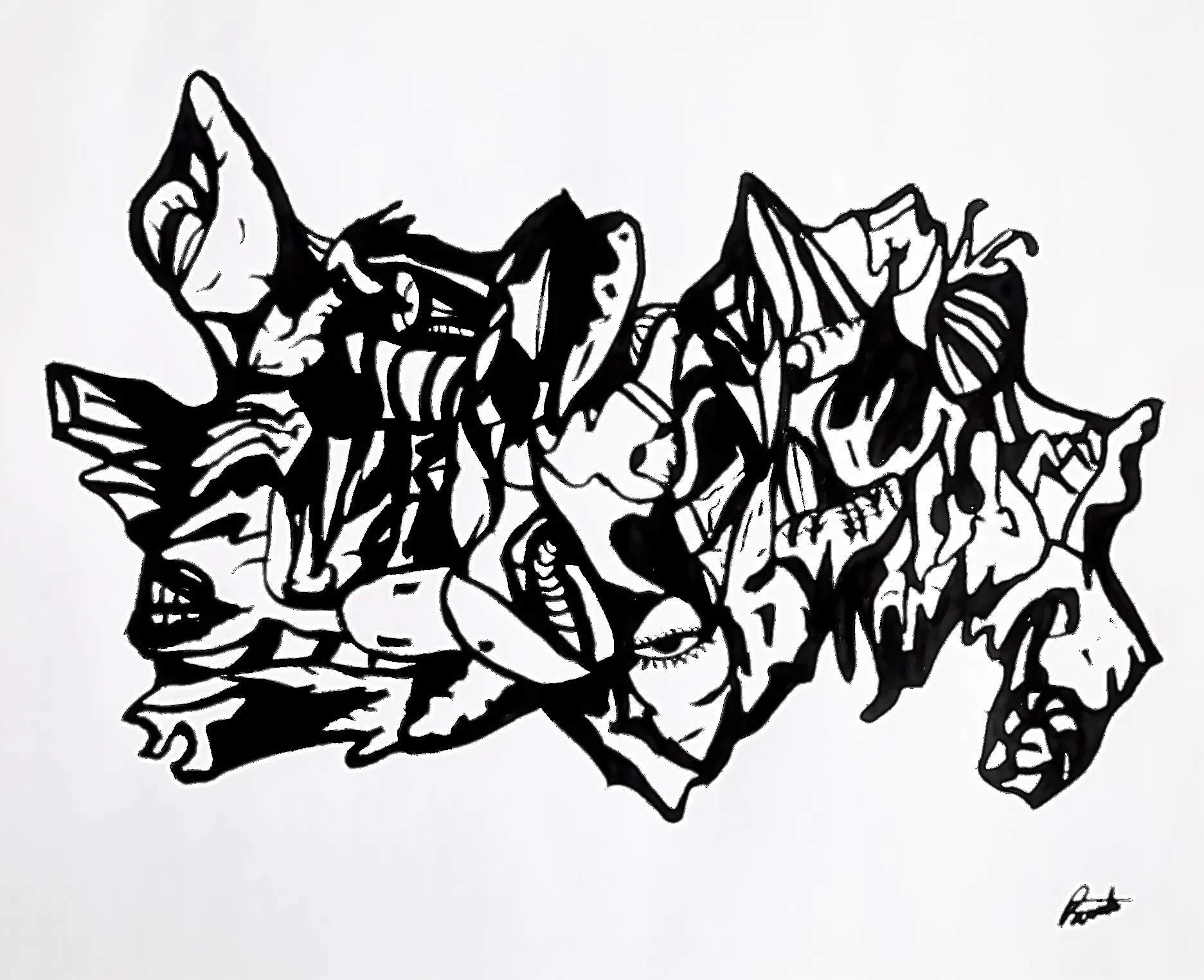 Metamorfo